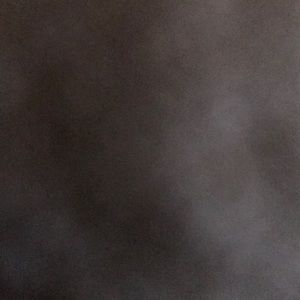 Meet your Posher, Alfie